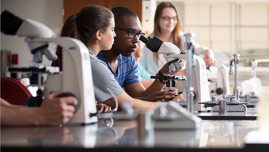 Student research lab photo