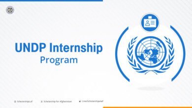 UNDP Internship Program