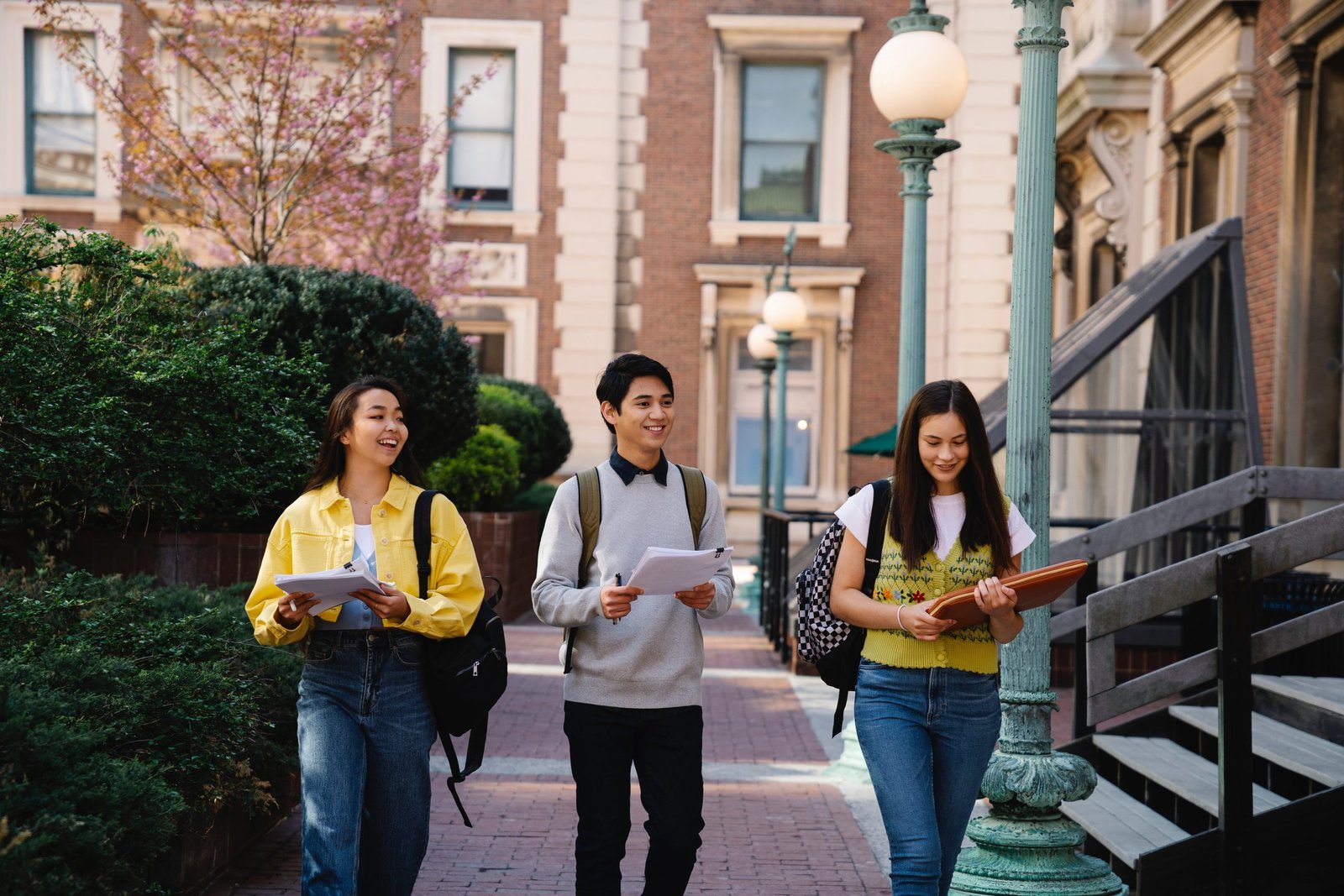 best courses to study in Bangladesh