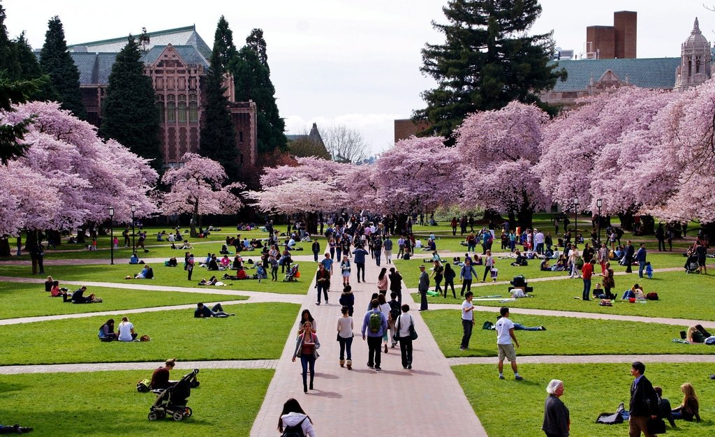 Best Universities in Seattle