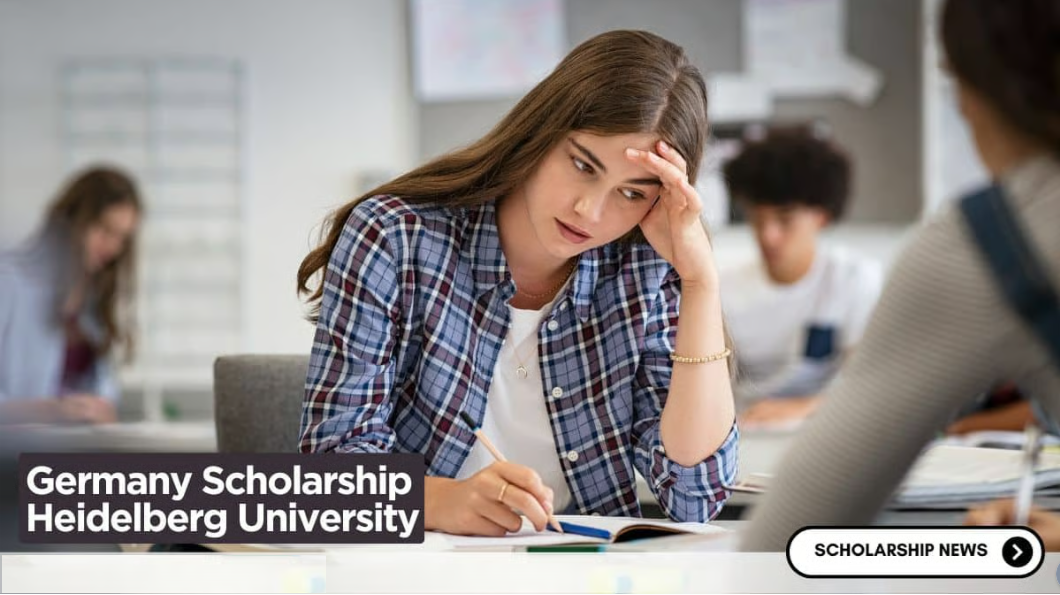 Heidelberg University Scholarships